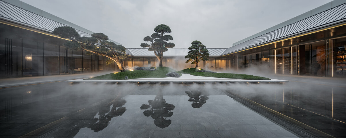 the courtyard and several bonsai