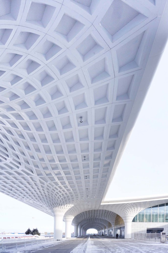 the canopy between T1 and T2