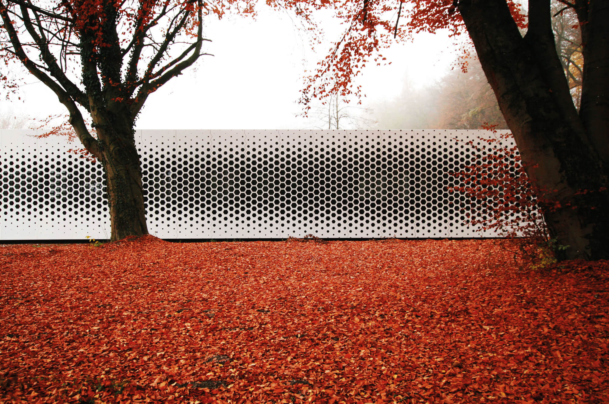 hexagonal perforated metal plate